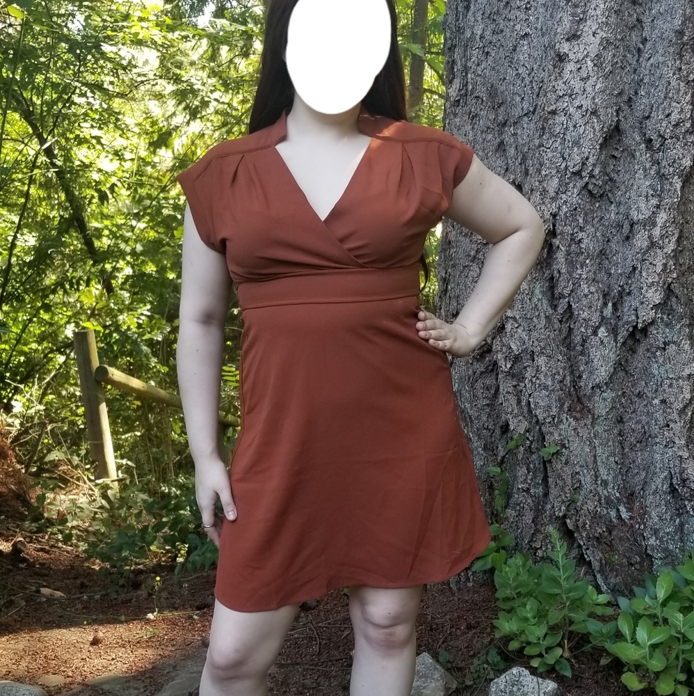 Flirty vintage style v neck dress